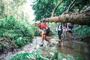 BIB: 
                            <button type="button" onclick="openModal(25476740)" class="btn btn-primary btn-sm float-right btn-popup" data-toggle="modal" data-target=".modal-high-quality">
                        <i class="fas fa-shopping-cart"></i> Add to Cart
                    </button>
                                            <button type="button" onclick="isThisMe(25476740, true)" class="btn btn-success btn-sm float-right btn-popup btn-isme hidden" data-toggle="tooltip" data-placement="bottom" title="นี่คือรูปของคุณใช่ไหม คลิกที่นี่เพื่อเอาเข้าอัลบั้ม">
                        <i class="fas fa-plus"></i> Add to album
                    </button>
                    <button type="button" onclick="isThisMe(25476740, false)" class="btn btn-warning btn-sm float-right btn-popup btn-isnotme hidden">
                        <i class="fas fa-ban"></i> Remove from album
                    </button>